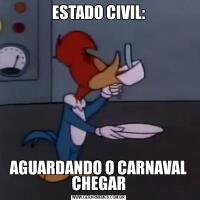 ESTADO CIVIL:AGUARDANDO O CARNAVAL CHEGAR