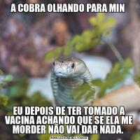 A COBRA OLHANDO PARA MIN EU DEPOIS DE TER TOMADO A VACINA ACHANDO QUE SE ELA ME MORDER NÃO VAI DAR NADA. 