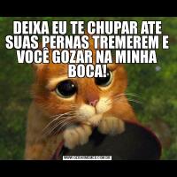 DEIXA EU TE CHUPAR ATE SUAS PERNAS TREMEREM E VOCÊ GOZAR NA MINHA BOCA!