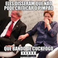 ELES DISSERAM QUE NÃO PODE CRITICAR O PIMPÃOQUE BANDO DE CUCKFOGO KKKKKK