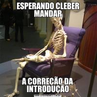 ESPERANDO CLEBER MANDARA CORREÇÃO DA INTRODUÇÃO