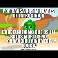 POR CAUSA DOS MILHARES DE LATROCINIOSÉ QUE EU AFIRMO QUE OS 111 RATOS MORTOS NO CARANDIRU AINDA FOI POUCO