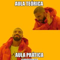 AULA TEÓRICA AULA PRÁTICA