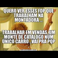 QUERO VER ESSES FDP QUE TRABALHAM NA MONTADORA ...TRABALHAR EM VENDAS ,UM MONTE DE CATÁLOGO NUM ÚNICO CARRO ..VAI PRA PQP .