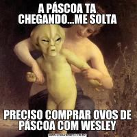 A PÁSCOA TA CHEGANDO...ME SOLTAPRECISO COMPRAR OVOS DE PÁSCOA COM WESLEY