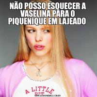 NÃO POSSO ESQUECER A VASELINA PARA O PIQUENIQUE EM LAJEADO 