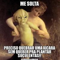 ME SOLTAPRECISO QUEBRAR UMA XICARA SEM QUERER PRA PLANTAR SUCULENTAS!!