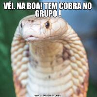 VÉI. NA BOA! TEM COBRA NO GRUPO !