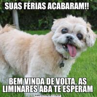 SUAS FÉRIAS ACABARAM!! BEM VINDA DE VOLTA, AS LIMINARES ABA TE ESPERAM