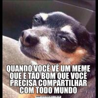QUANDO VOCÊ VÊ UM MEME QUE É TÃO BOM QUE VOCÊ PRECISA COMPARTILHAR COM TODO MUNDO