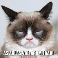 AS AULAS VOLTARAM EBAA!