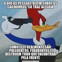 O QUE AS PESSOAS DIZEM SOBRE OS CACHORROS: SÓ TRAZ ALEGRIACOMO ELES REALMENTE SÃO: PULGUENTOS, FEDORENTOS E DESTROEM TUDO QUE ENCONTRAR PELA FRENTE