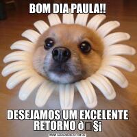 BOM DIA PAULA!!DESEJAMOS UM EXCELENTE RETORNO 