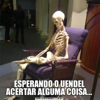 ESPERANDO O UENDEL ACERTAR ALGUMA COISA...
