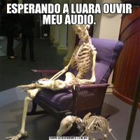 ESPERANDO A LUARA OUVIR MEU ÁUDIO.