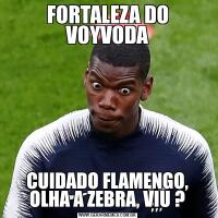 FORTALEZA DO VOYVODACUIDADO FLAMENGO, OLHA A ZEBRA, VIU ?