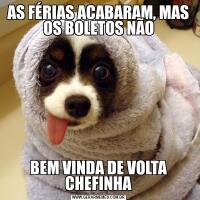 AS FÉRIAS ACABARAM, MAS OS BOLETOS NÃOBEM VINDA DE VOLTA CHEFINHA