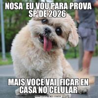 NOSA  EU VOU PARA PROVA SP DE 2026 MAIS VOCE VAI  FICAR EN CASA NO CELULAR