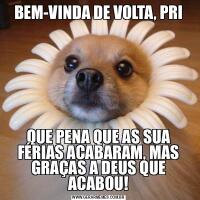 BEM-VINDA DE VOLTA, PRIQUE PENA QUE AS SUA FÉRIAS ACABARAM, MAS GRAÇAS A DEUS QUE ACABOU!