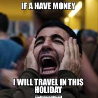 IF A HAVE MONEYI WILL TRAVEL IN THIS HOLIDAY