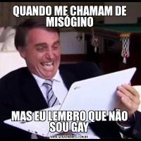 QUANDO ME CHAMAM DE MISÓGINOMAS EU LEMBRO QUE NÃO SOU GAY