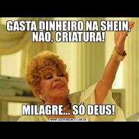 GASTA DINHEIRO NA SHEIN, NÃO, CRIATURA!MILAGRE... SÓ DEUS!