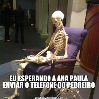 EU ESPERANDO A ANA PAULA ENVIAR O TELEFONE DO PEDREIRO 