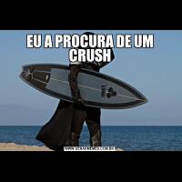 EU A PROCURA DE UM CRUSH