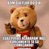 BOM DIA FLOR DO DIASUAS FERIAS ACABARAM, MAS O ORÇAMENTO TÁ SÓ COMEÇANDO! 