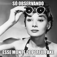 SÓ OBSERVANDOESSE MONTE DE PERFIL FAKE