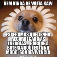 BEM VINDA DE VOLTA KAWESPERAMOS QUE TENHA RECARREGADO AS ENERGIAS... PORQUE A BATERIA AQUI ESTÁ NO MODO 'SOBREVIVÊNCIA
