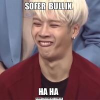 SOFER  BULLIK HA HA 