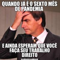 QUANDO JÁ É O SEXTO MÊS DE PANDEMIA E AINDA ESPERAM QUE VOCÊ FAÇA SEU TRABALHO DIREITO