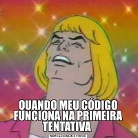 QUANDO MEU CÓDIGO FUNCIONA NA PRIMEIRA TENTATIVA 