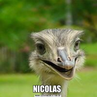 NICOLAS 