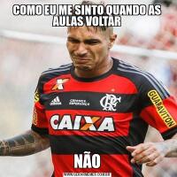 COMO EU ME SINTO QUANDO AS AULAS VOLTARNÃO