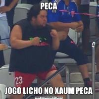 PECAJOGO LICHO NO XAUM PECA