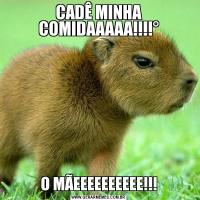 CADÊ MINHA COMIDAAAAA!!!!°O MÃEEEEEEEEEE!!!