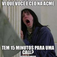 VI QUE VOCÊ É CEO NA ACMETEM 15 MINUTOS PARA UMA CALL?