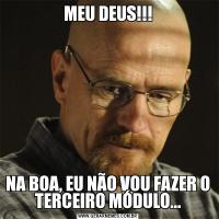 MEU DEUS!!!NA BOA, EU NÃO VOU FAZER O TERCEIRO MÓDULO...