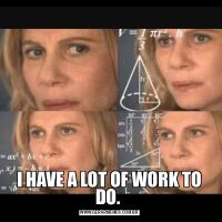 I HAVE A LOT OF WORK TO DO. 