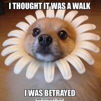 I THOUGHT IT WAS A WALKI WAS BETRAYED