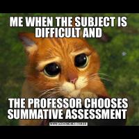 ME WHEN THE SUBJECT IS DIFFICULT ANDTHE PROFESSOR CHOOSES SUMMATIVE ASSESSMENT 