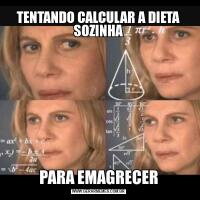 TENTANDO CALCULAR A DIETA SOZINHAPARA EMAGRECER