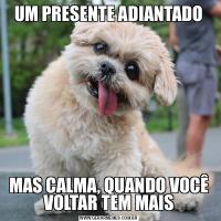 UM PRESENTE ADIANTADOMAS CALMA, QUANDO VOCÊ VOLTAR TEM MAIS