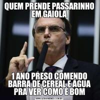 QUEM PRENDE PASSARINHO EM GAIOLA1 ANO PRESO COMENDO BARRA DE CEREAL E ÁGUA PRA VER COMO É BOM