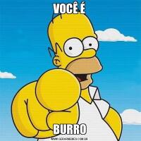 VOCÊ ÉBURRO