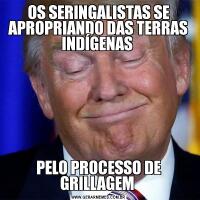 OS SERINGALISTAS SE APROPRIANDO DAS TERRAS INDÍGENAS PELO PROCESSO DE GRILLAGEM 