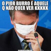 O PIOR BURRO É AQUELE Q NÃO QUER VER KKKKK