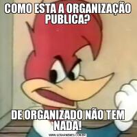 COMO ESTA A ORGANIZAÇÃO PUBLICA?DE ORGANIZADO NÃO TEM NADA!